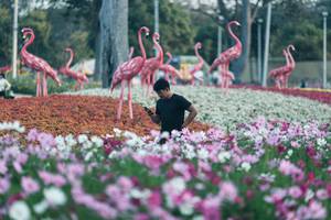 BIB: 
                            <button type="button" onclick="openModal(27344029)" class="btn btn-primary btn-sm float-right btn-popup" data-toggle="modal" data-target=".modal-high-quality">
                        <i class="fas fa-shopping-cart"></i> Add to Cart
                    </button>
                                            <button type="button" onclick="isThisMe(27344029, true)" class="btn btn-success btn-sm float-right btn-popup btn-isme hidden" data-toggle="tooltip" data-placement="bottom" title="นี่คือรูปของคุณใช่ไหม คลิกที่นี่เพื่อเอาเข้าอัลบั้ม">
                        <i class="fas fa-plus"></i> Add to album
                    </button>
                    <button type="button" onclick="isThisMe(27344029, false)" class="btn btn-warning btn-sm float-right btn-popup btn-isnotme hidden">
                        <i class="fas fa-ban"></i> Remove from album
                    </button>